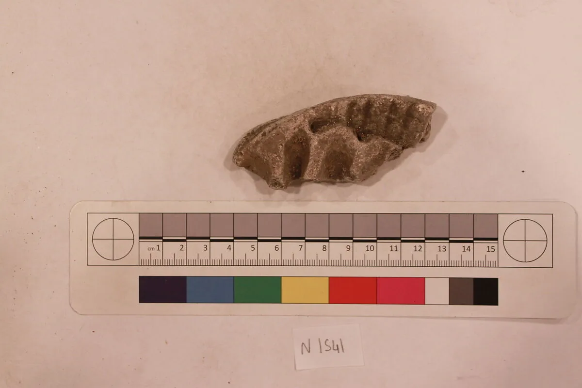 Stucco Fragment — Unknown