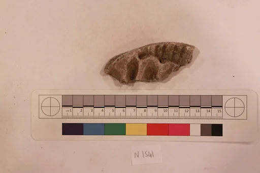 Stucco Fragment