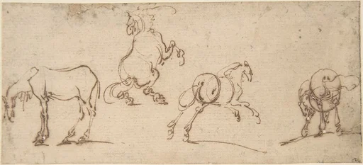 Four Studies of Horses