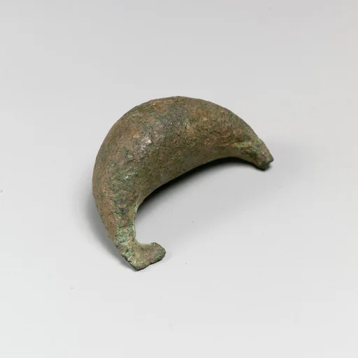 Fibula, boat-shaped type