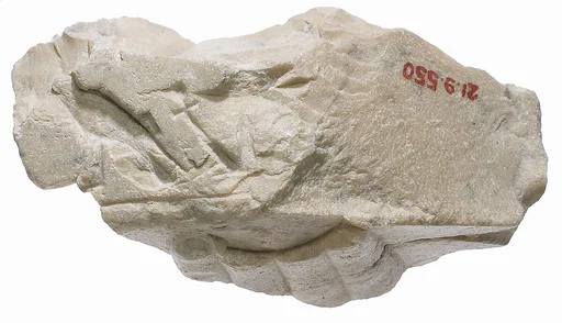 Offering table with hand, titulary of king