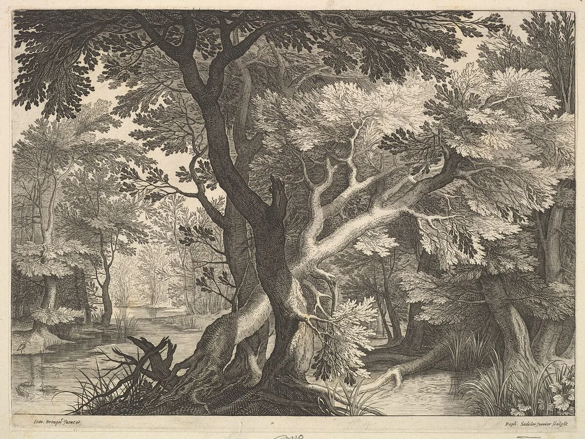Wooded landscape — Raphael Sadeler II|Jan Brueghel the Elder
