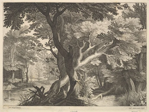 Wooded landscape