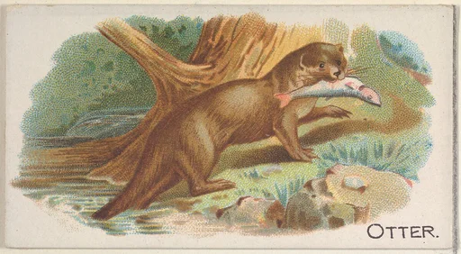 Otter, from the Quadrupeds series (N21) for Allen & Ginter Cigarettes