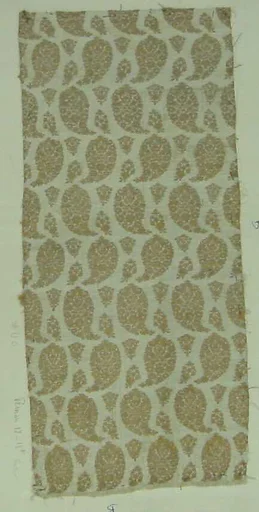 Textile Fragment