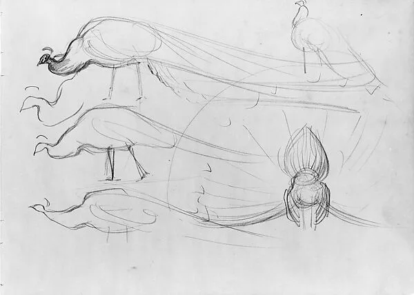 Peacocks — John Singer Sargent