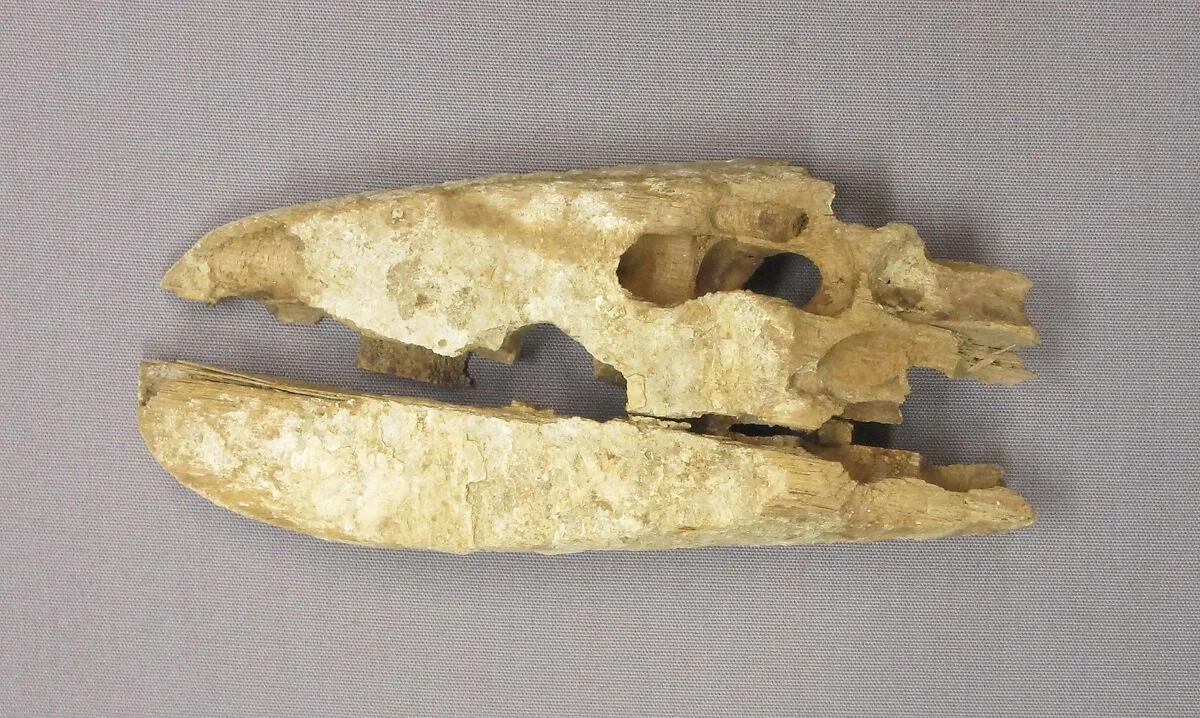 Fragment from a door — Unknown