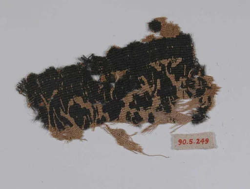 Textile Fragment
