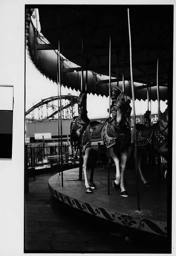 [Coney Island Merry-Go-Round, New York]