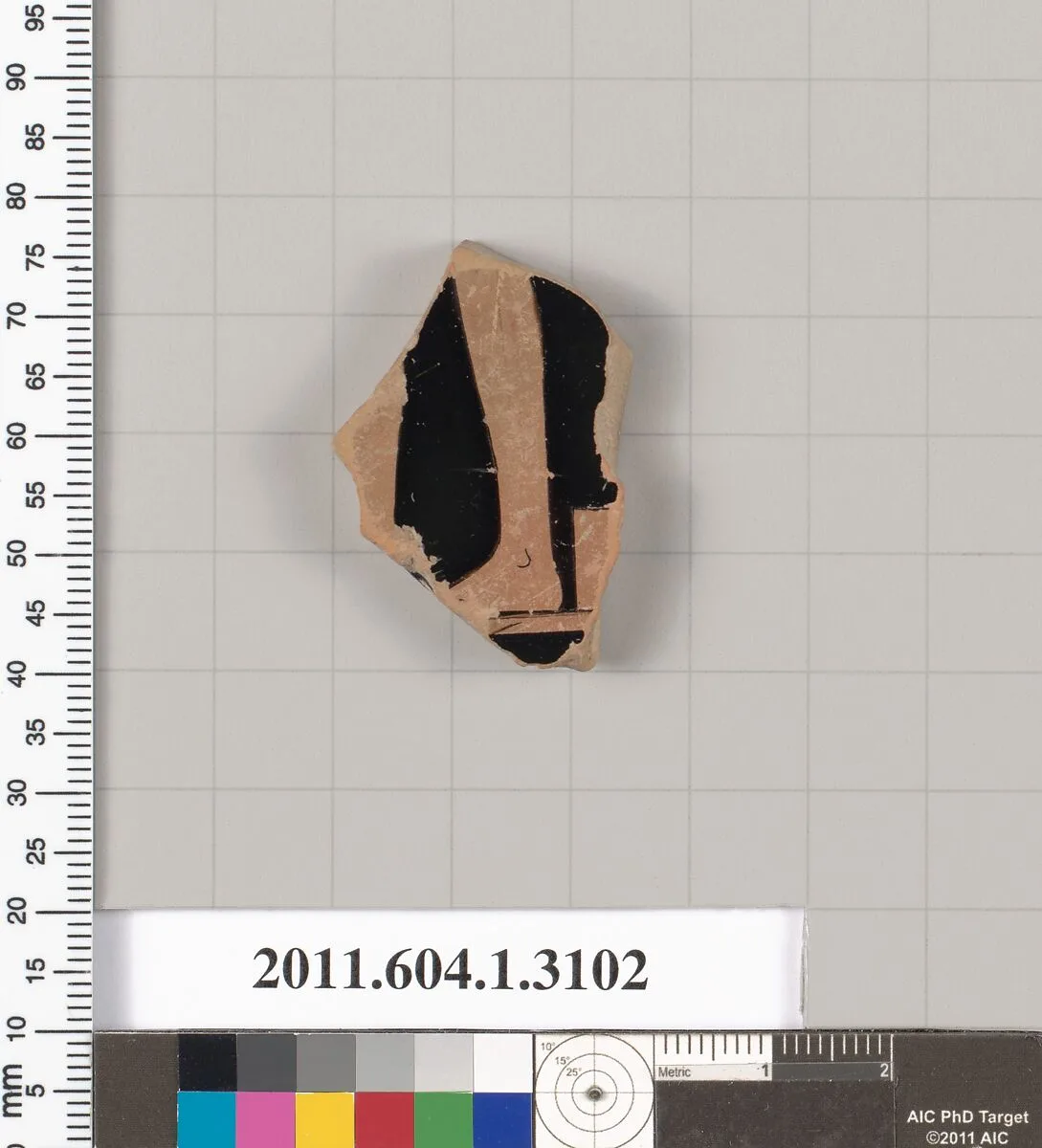 Terracotta fragment of a kylix (drinking cup) — Unknown