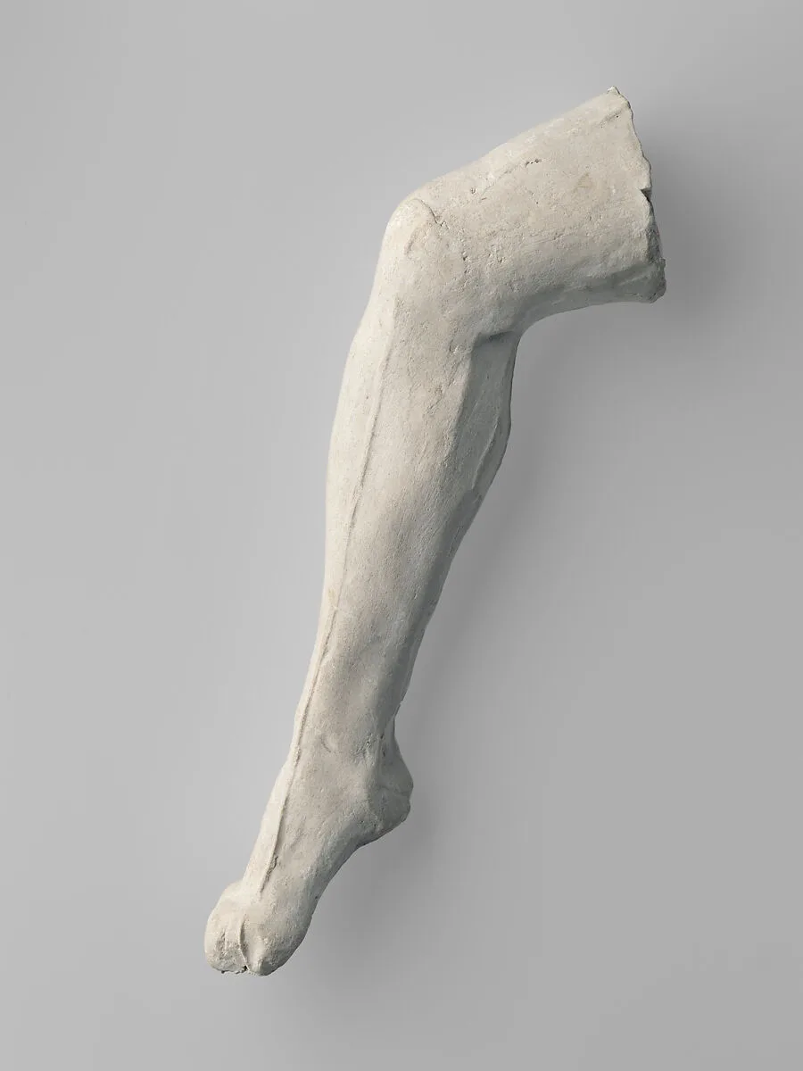 Study of a leg — Auguste Rodin