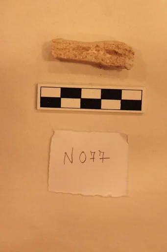 Stucco Fragment