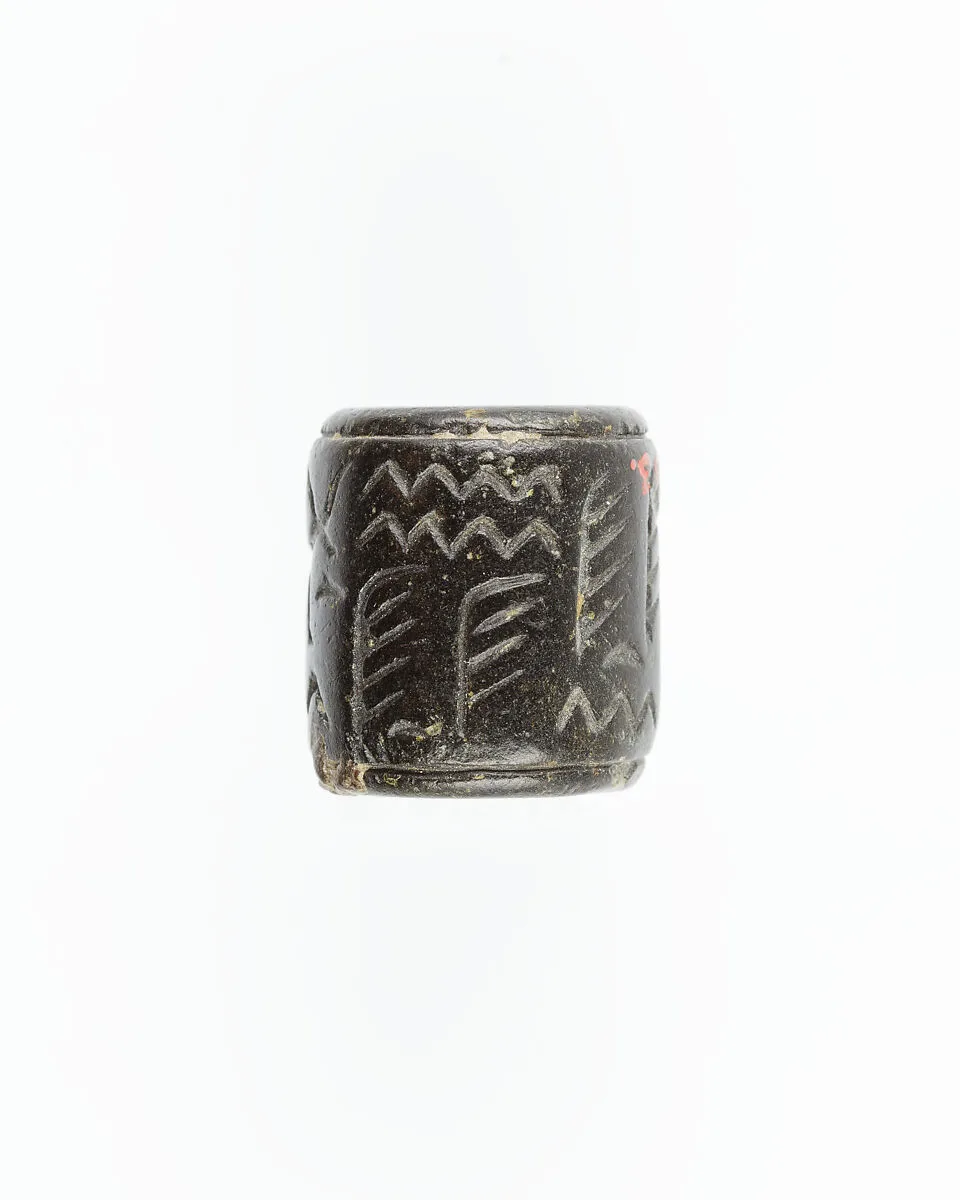 Cylinder seal — Unknown