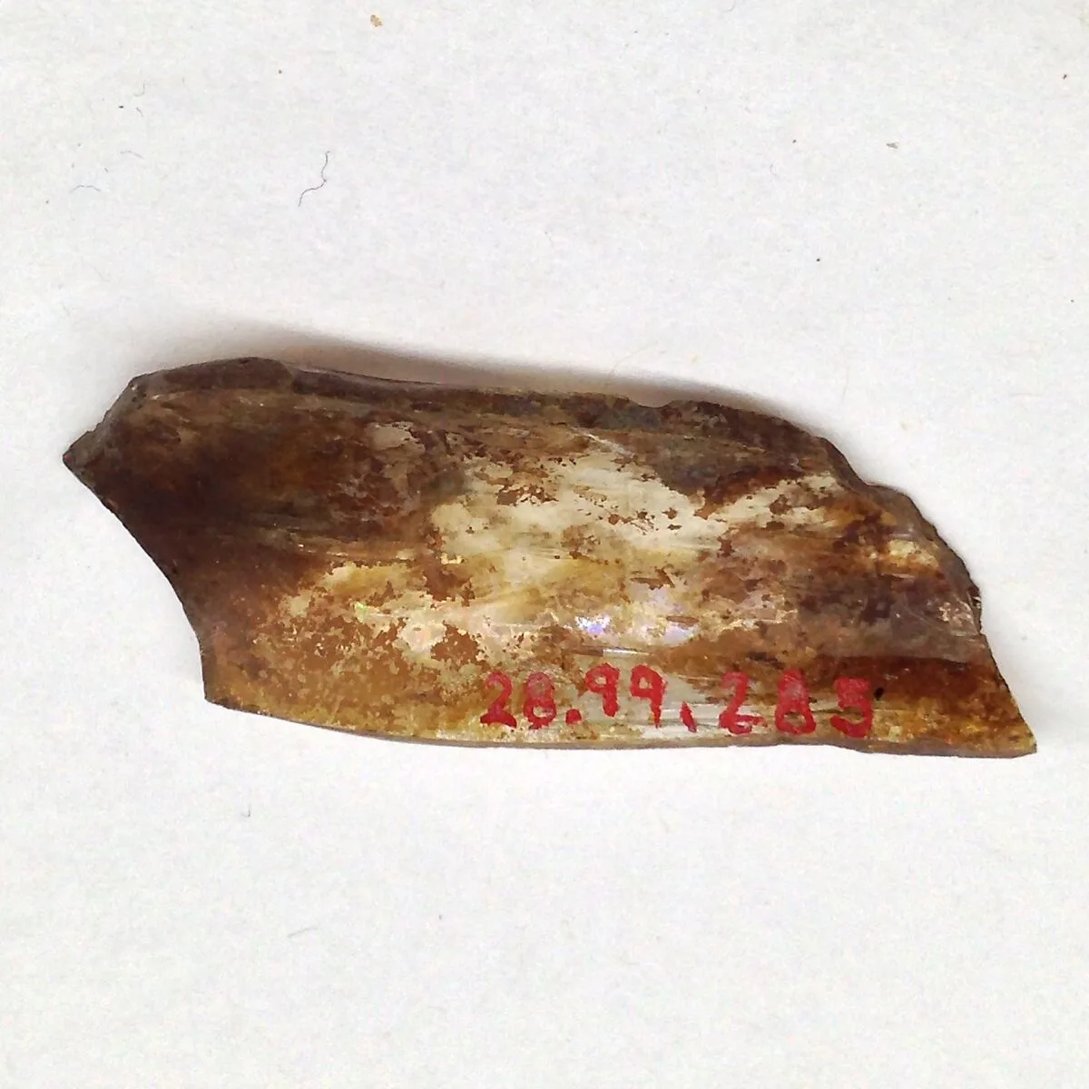 Fragment — Unknown