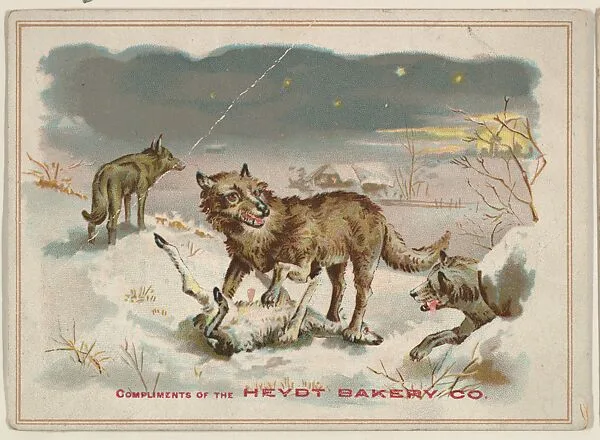Wolves, collector card from the Birds and Greeting Cards series (D17), issued by the Heydt Baking Company — Heydt Bakery Company