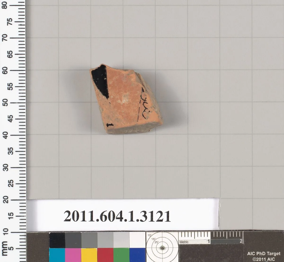 Terracotta fragment of a kylix (drinking cup) — Unknown