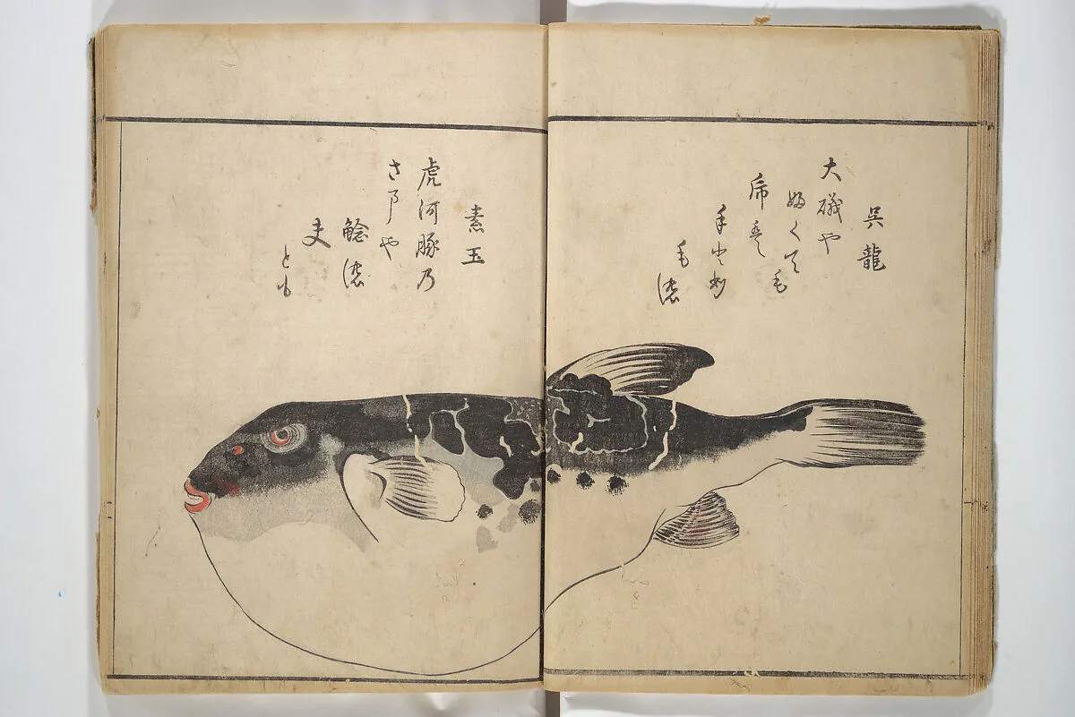 Untitled — Kuwagata Keisai 鍬形蕙斎