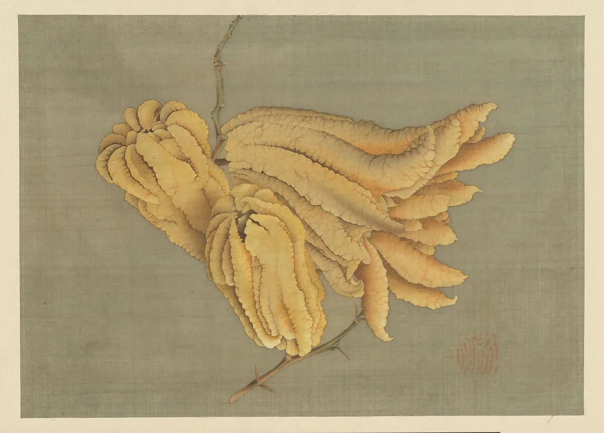 仏手柑図|Buddha’s Hand Citron (Busshukan) — Katsushika Hokusai