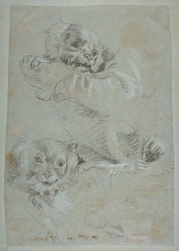 Three Dogs