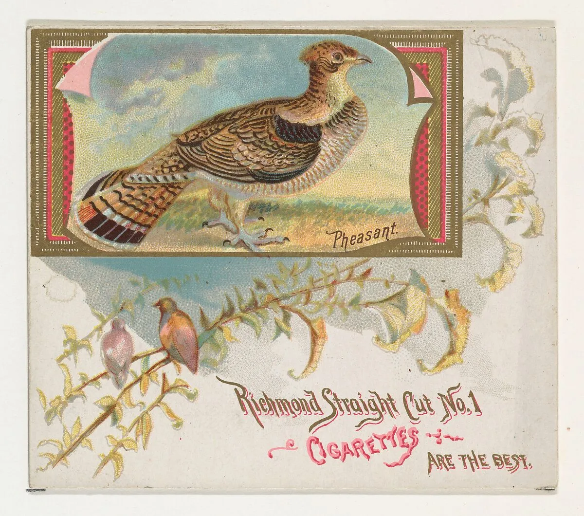 Pheasant, from the Game Birds series (N40) for Allen & Ginter Cigarettes — Allen & Ginter
