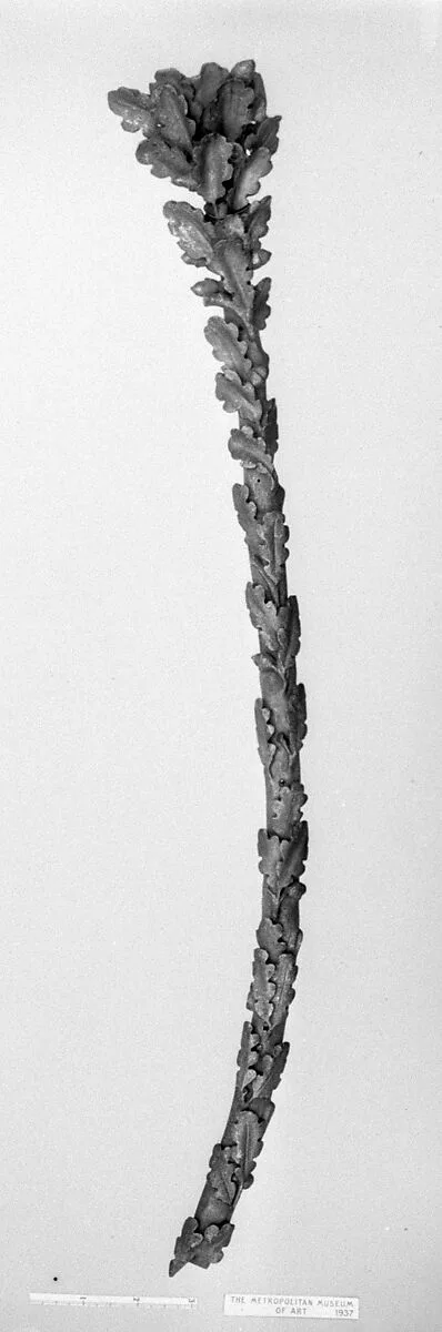 Fragment — Unknown
