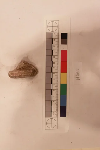 Stucco Fragment
