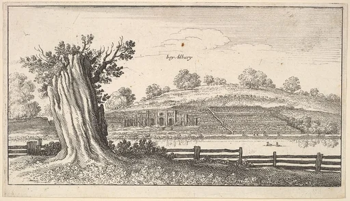 Albury with tree-stump in foreground