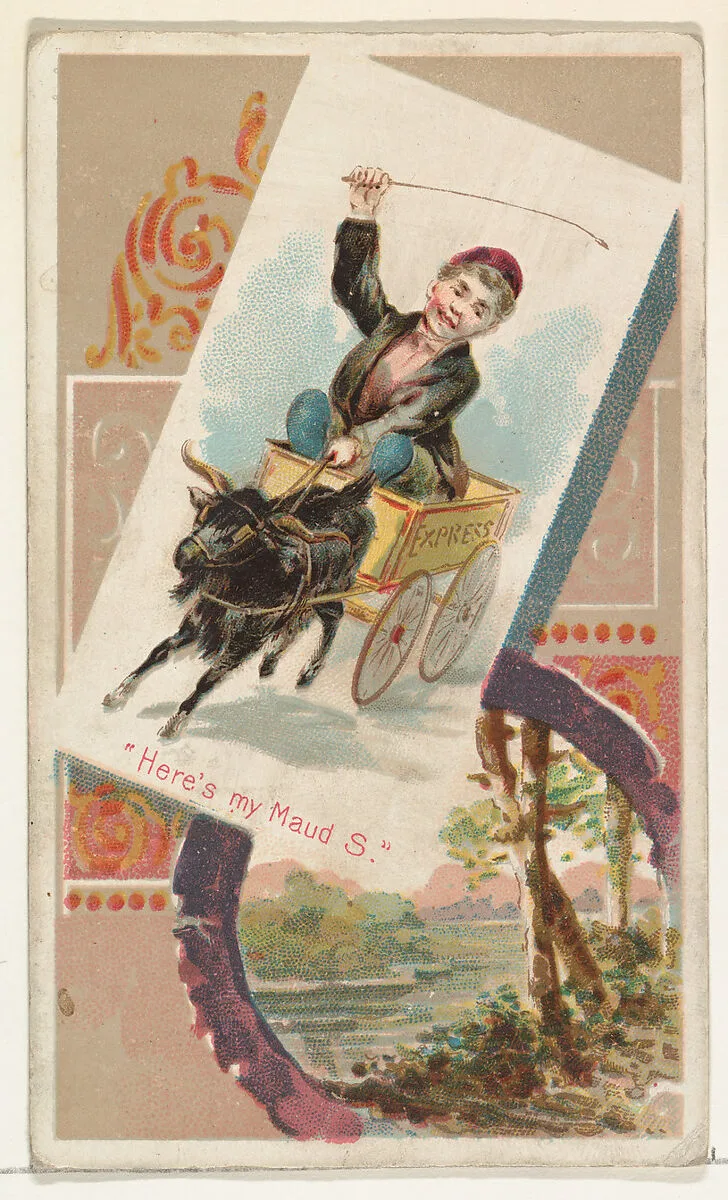 "Here's my Maud S.," from the Terrors of America set (N136) issued by Duke Sons & Co. to promote Honest Long Cut Tobacco — Knapp & Company|W. Duke, Sons & Co.