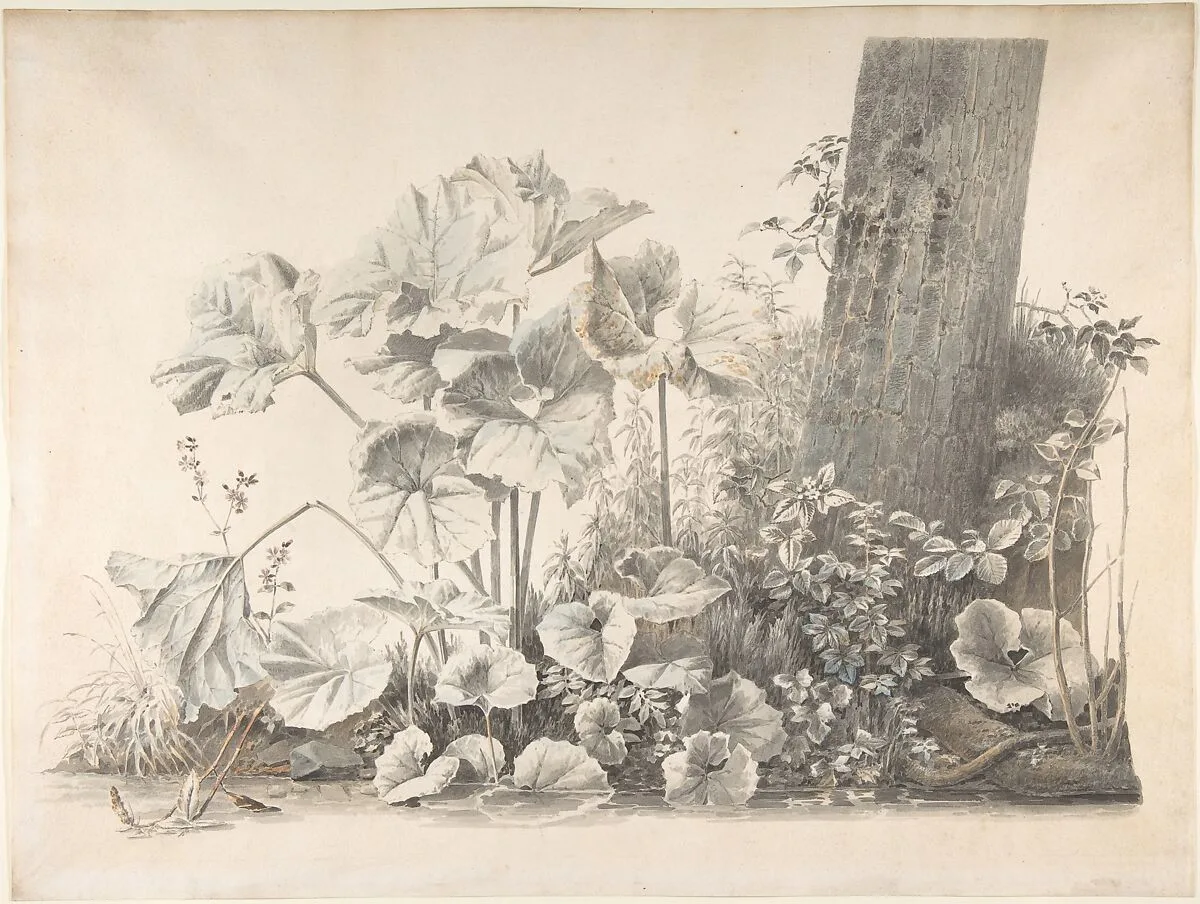 Burdocks, Campions and Brambles by a Treetrunk on a River Bank — Josephus Augustus Knip