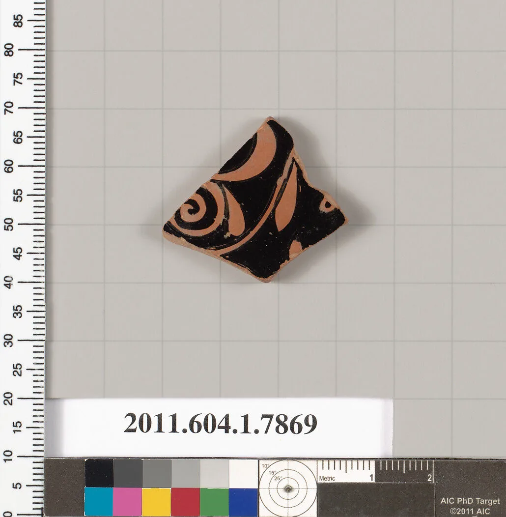 Terracotta fragment of a kylix (drinking cup) — Unknown