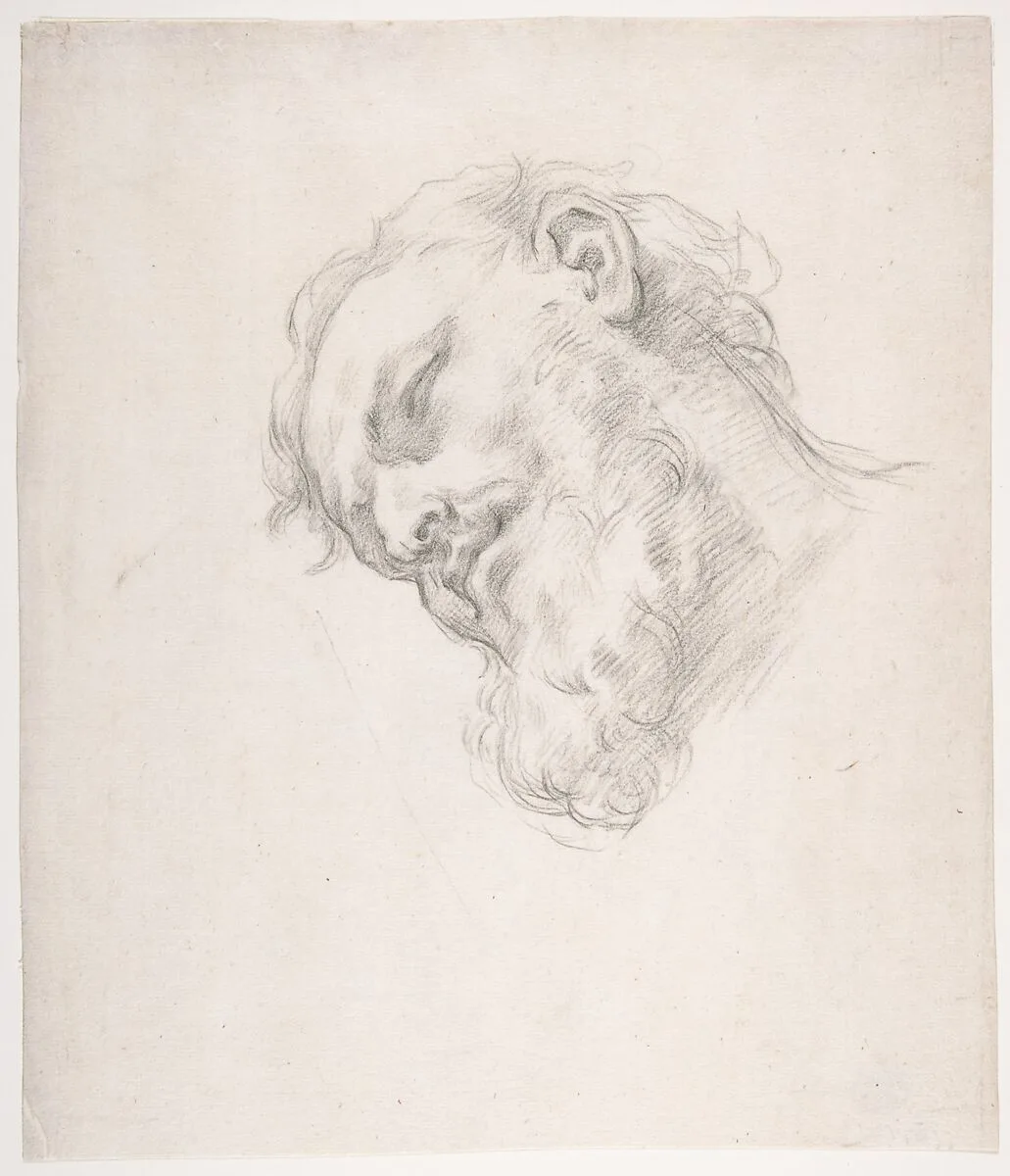 Study for a Head of a Man — Carlo Maratti