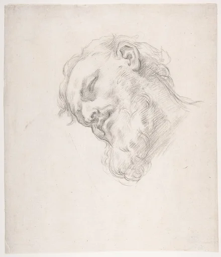 Study for a Head of a Man