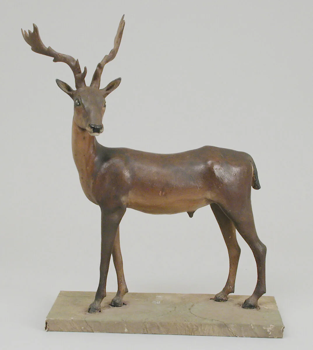 Antlered buck — Unknown