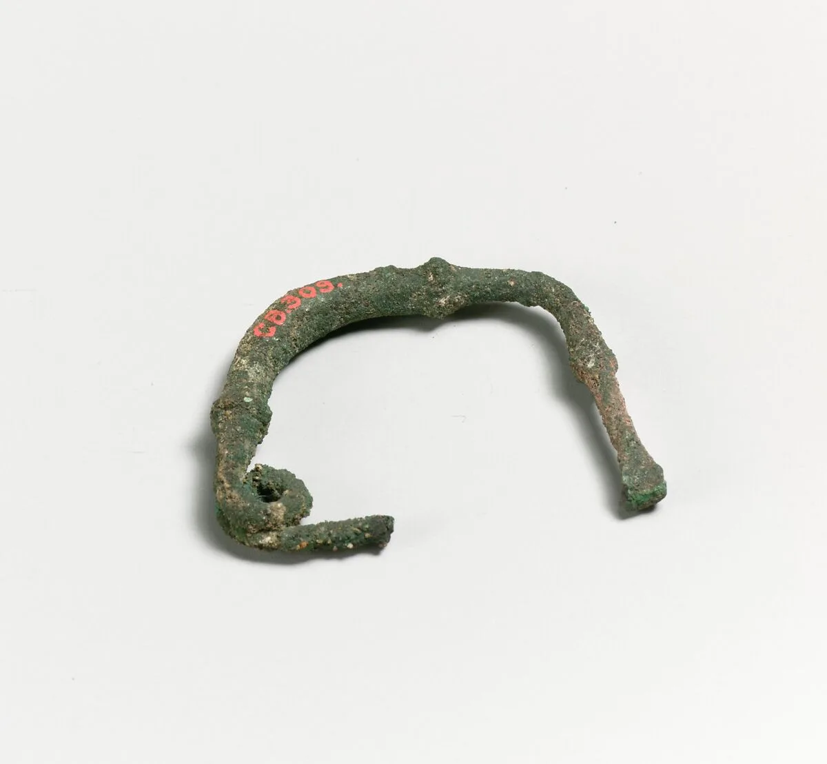 Fibula — Unknown