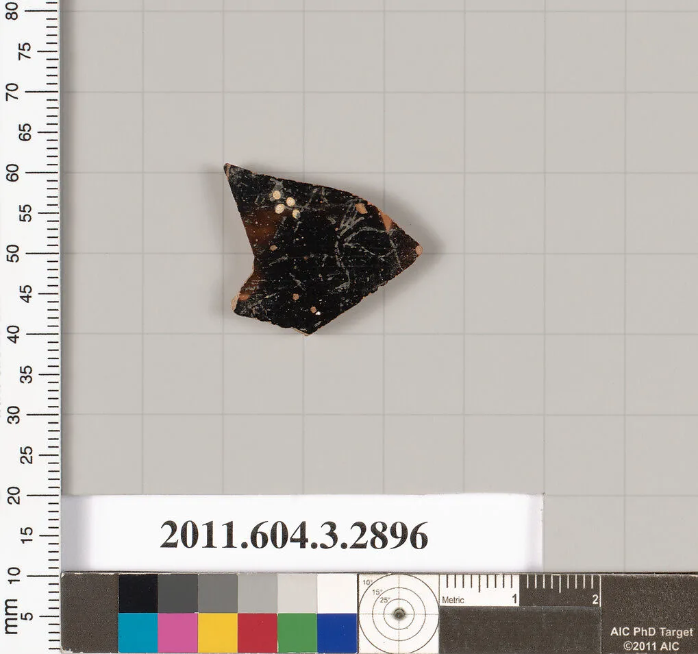 Terracotta fragment of a closed shape — Unknown