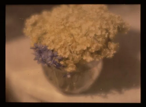 [Flowers in a Bowl]