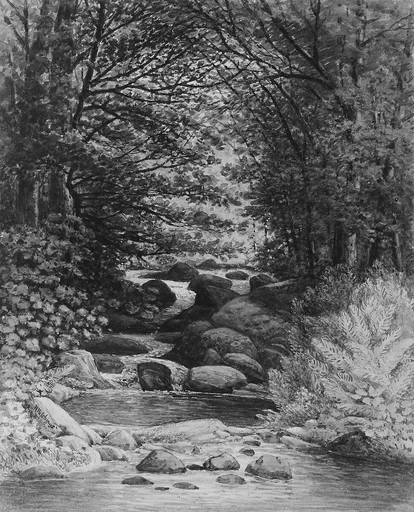 A Forest Cascade at Hiram, Maine