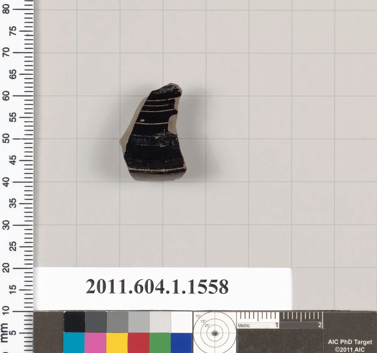 Terracotta fragment of a kylix (drinking cup) — Unknown
