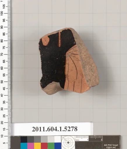 Terracotta fragment of a kylix (drinking cup)