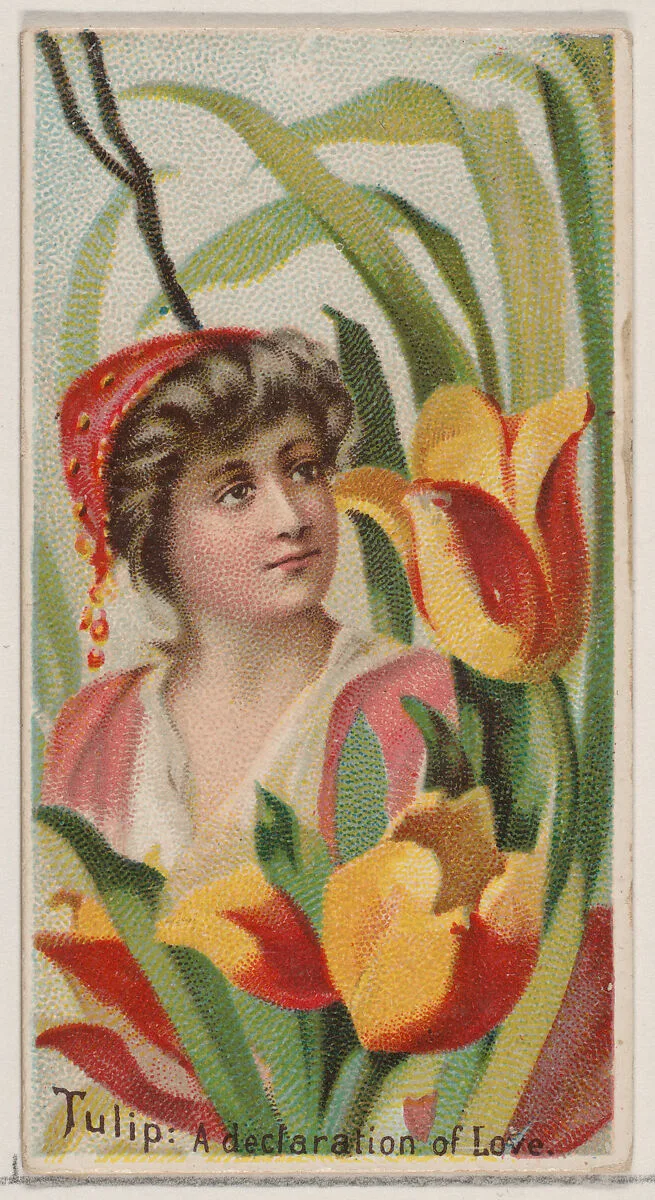 Tulip: A Declaration of Love, from the series Floral Beauties and Language of Flowers (N75) for Duke brand cigarettes — Donaldson Brothers|American Tobacco Company