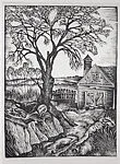 Dead Tree — Wilmer Angier Jennings
