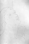 Portrait of a Woman