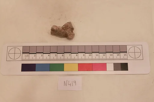 Stucco Fragment