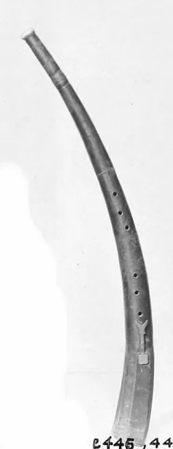 Tenor Cornetto in D — Unknown