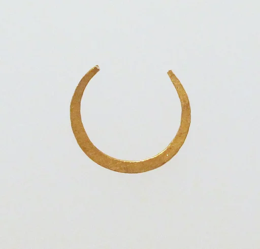Earring-loop type, hammered flat