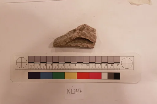 Stucco Fragment