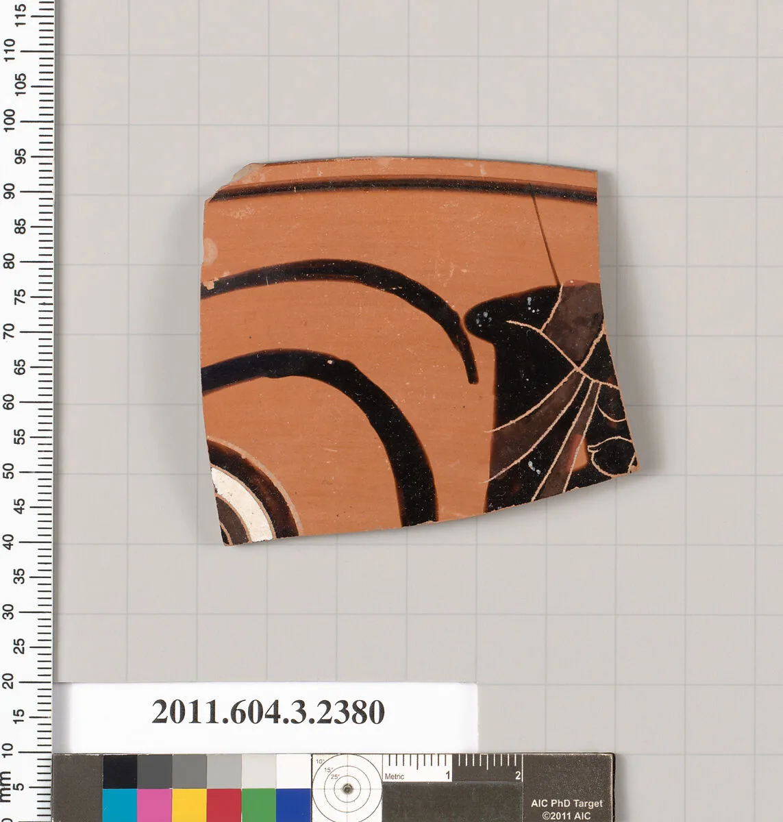 Terracotta rim fragment of a kylix: eye-cup (drinking cup) — Unknown