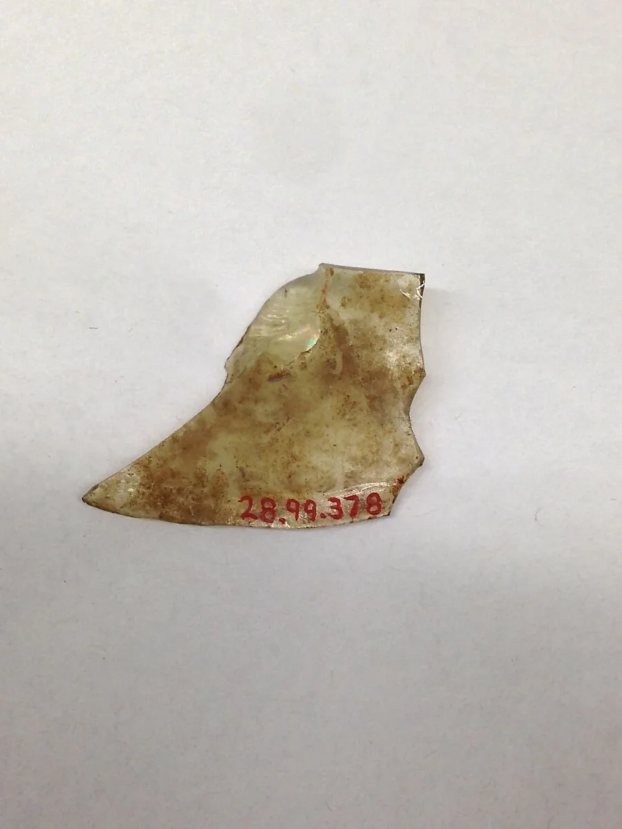 Fragment — Unknown