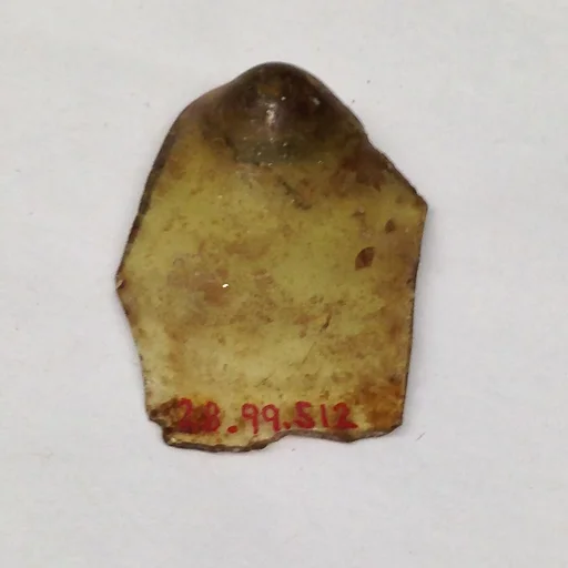 Fragment