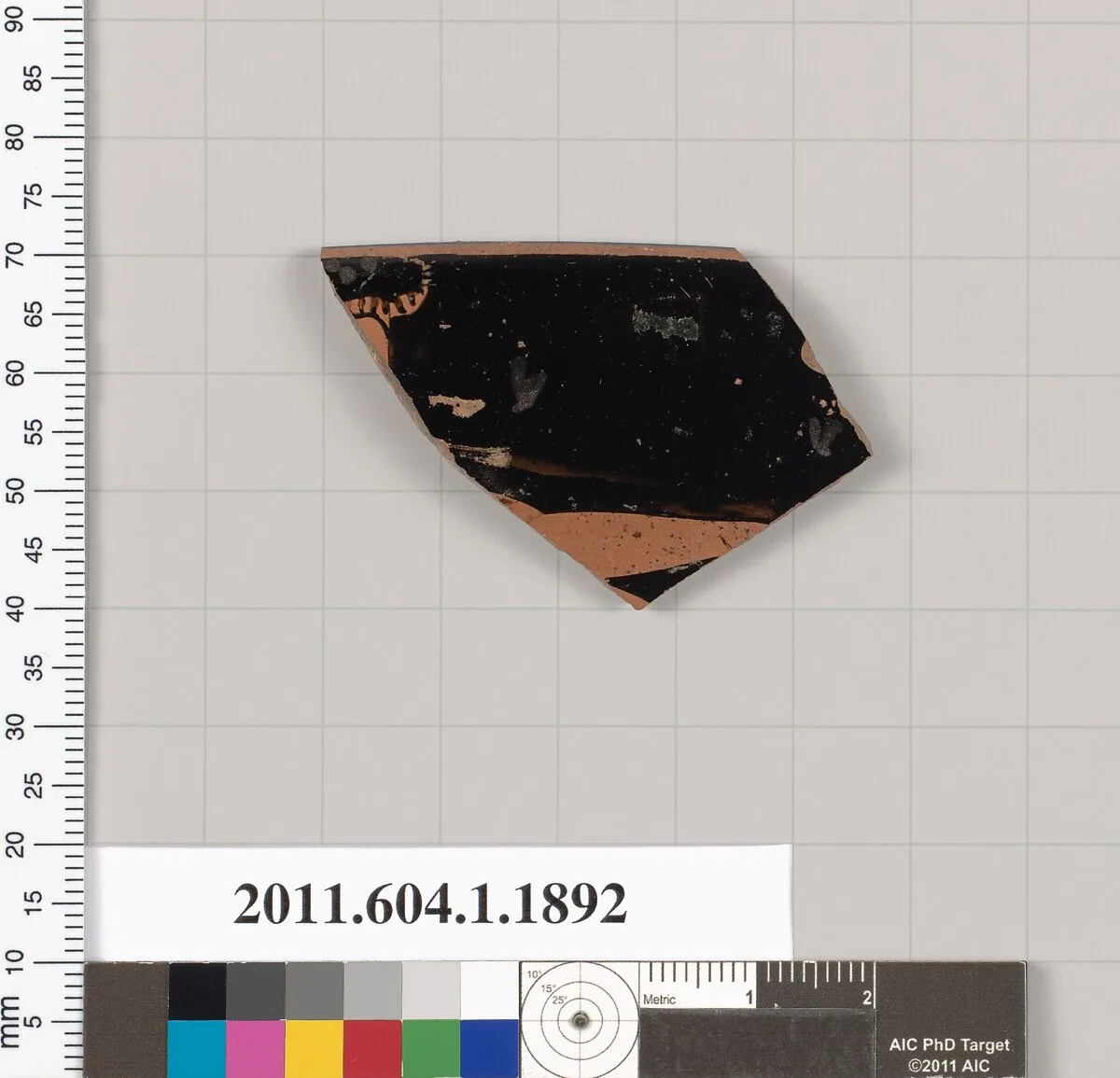 Terracotta rim fragment of a kylix (drinking cup) — Unknown